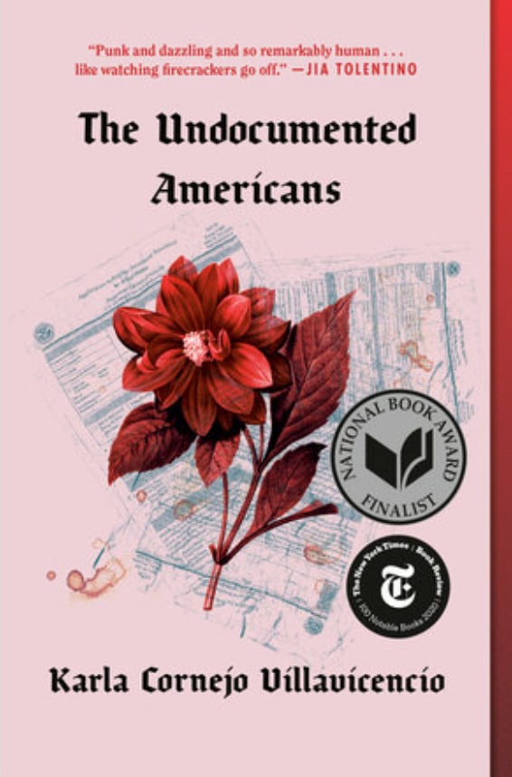 The Undocumented Americans book cover